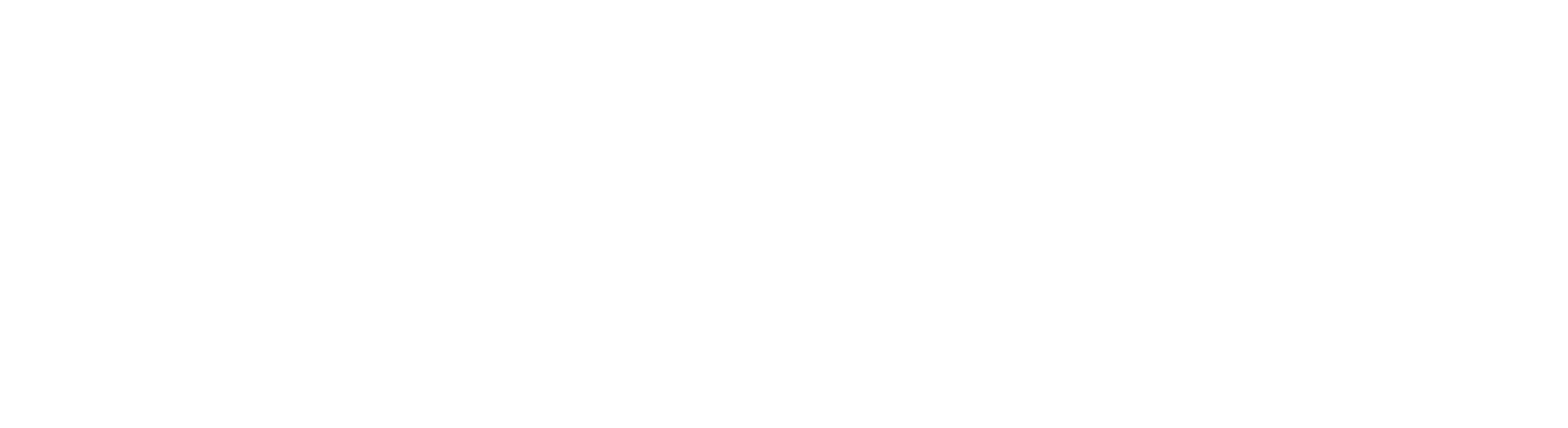 Intuzu